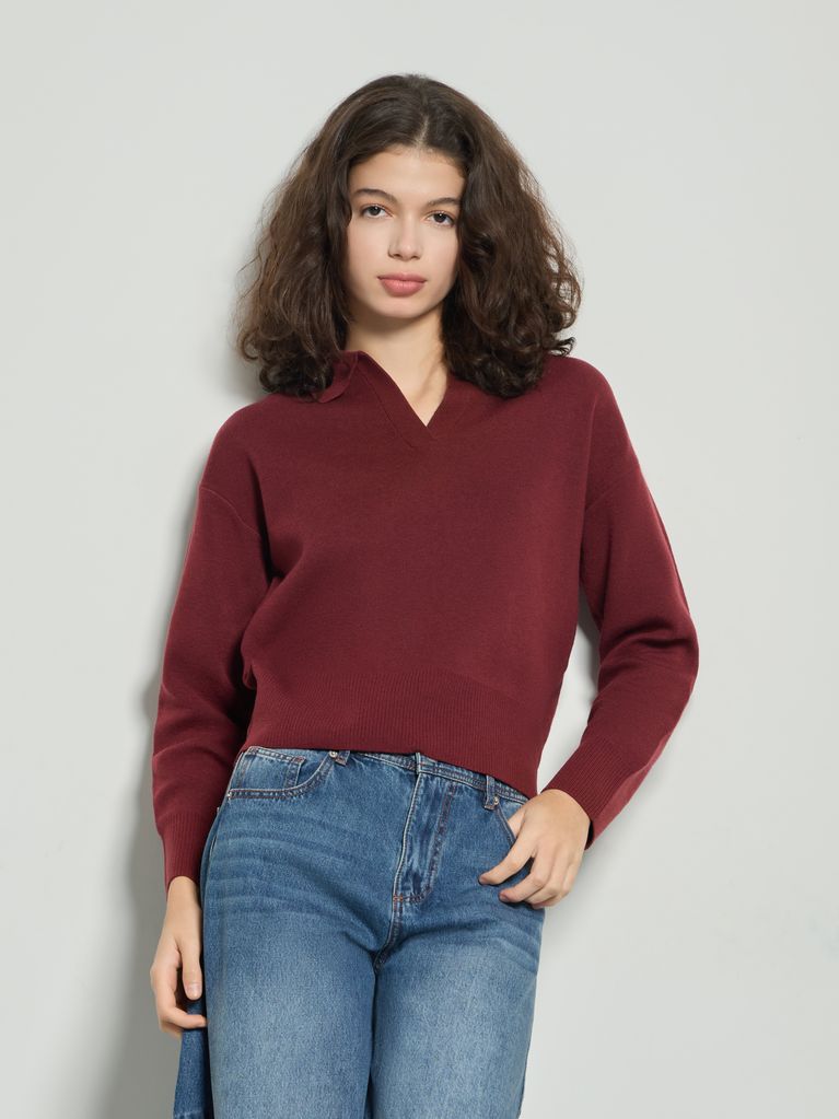 BASIC POLO SWEATER - view 1